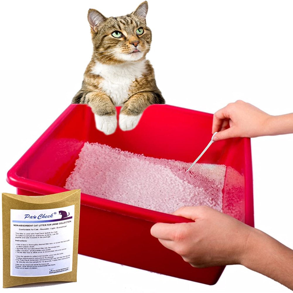 Pawcheck Cat Litter for Urine Collection - Reusable and Non-Absorbent Cat Urine Collection Home Kit Intended to Monitor Cat Health Animals & Pet Supplies > Pet Supplies > Cat Supplies > Cat Litter Pawcheck   