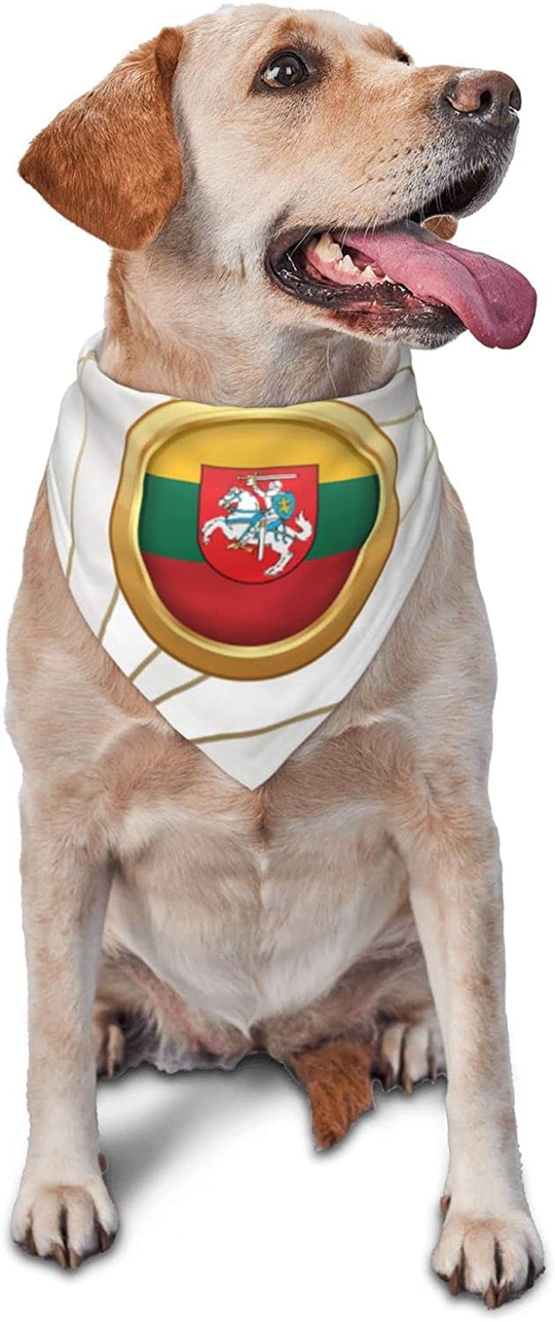 Golden Disc Lithuania Flag Pet Dog and Cat Decorative Triangle Scarf,Dog Bandana,Breathable and Stain Resistant. Animals & Pet Supplies > Pet Supplies > Dog Supplies > Dog Apparel ZALTAS   