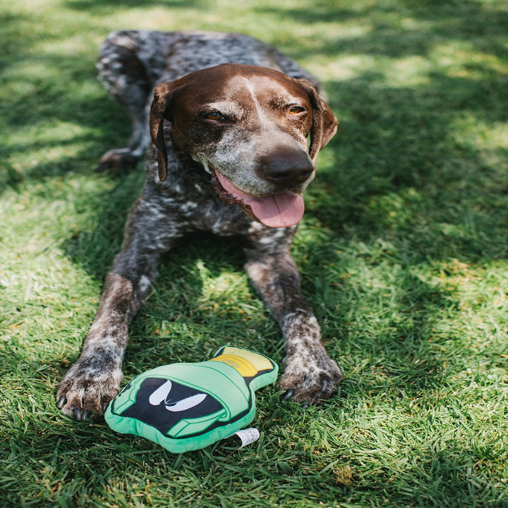 Buckle-Down Dog Toy, Looney Tunes, Plush Squeaker Marvin the Martian Face Animals & Pet Supplies > Pet Supplies > Dog Supplies > Dog Toys Buckle-Down   