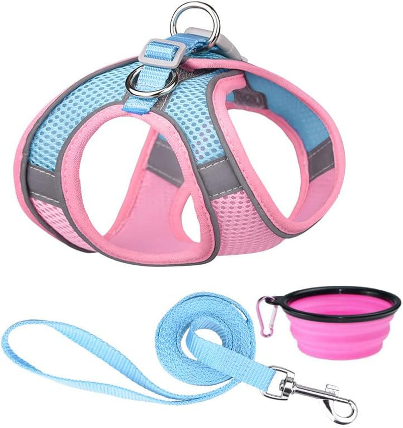 Dog Harness and Leash Set Reflective Pet Puppy Vest Harnesses Adjustable Step in Soft Mesh for Medium Girl Boy Cats Kitten Orange Animals & Pet Supplies > Pet Supplies > Dog Supplies > Dog Apparel Weimostar Pink-Blue XS 