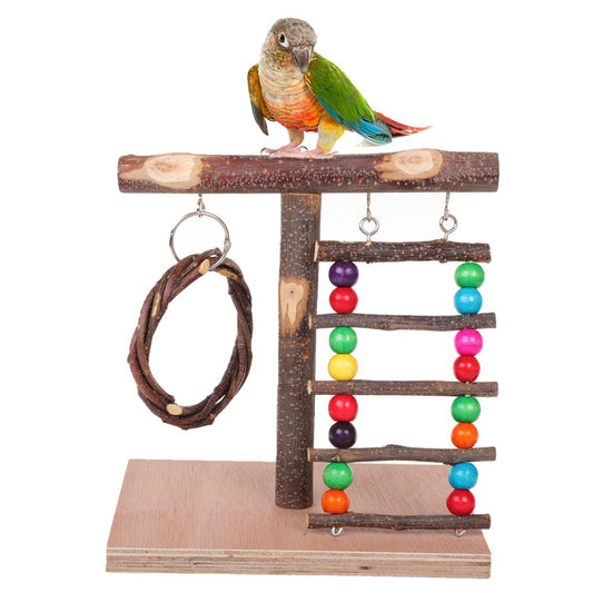 PUMYPOREITY Bird Tabletop Training Perch Play Stand, Parrot Natural Wood Stand Toy, Branch Perch Playground Gym for Parakeets Canaries Cockatiels Animals & Pet Supplies > Pet Supplies > Bird Supplies > Bird Gyms & Playstands PUMYPOREITY   