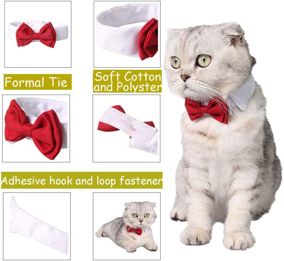 Bolbove Adjustable Formal Pet Bowtie Collar Neck Tie for Dogs & Cats (Small, Red) Animals & Pet Supplies > Pet Supplies > Dog Supplies > Dog Apparel Bolbove   