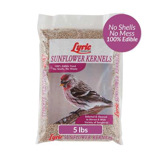 Lyric Sunflower Kernels Wild Bird Seed - No Waste Bird Food - 5 Lb. Bag