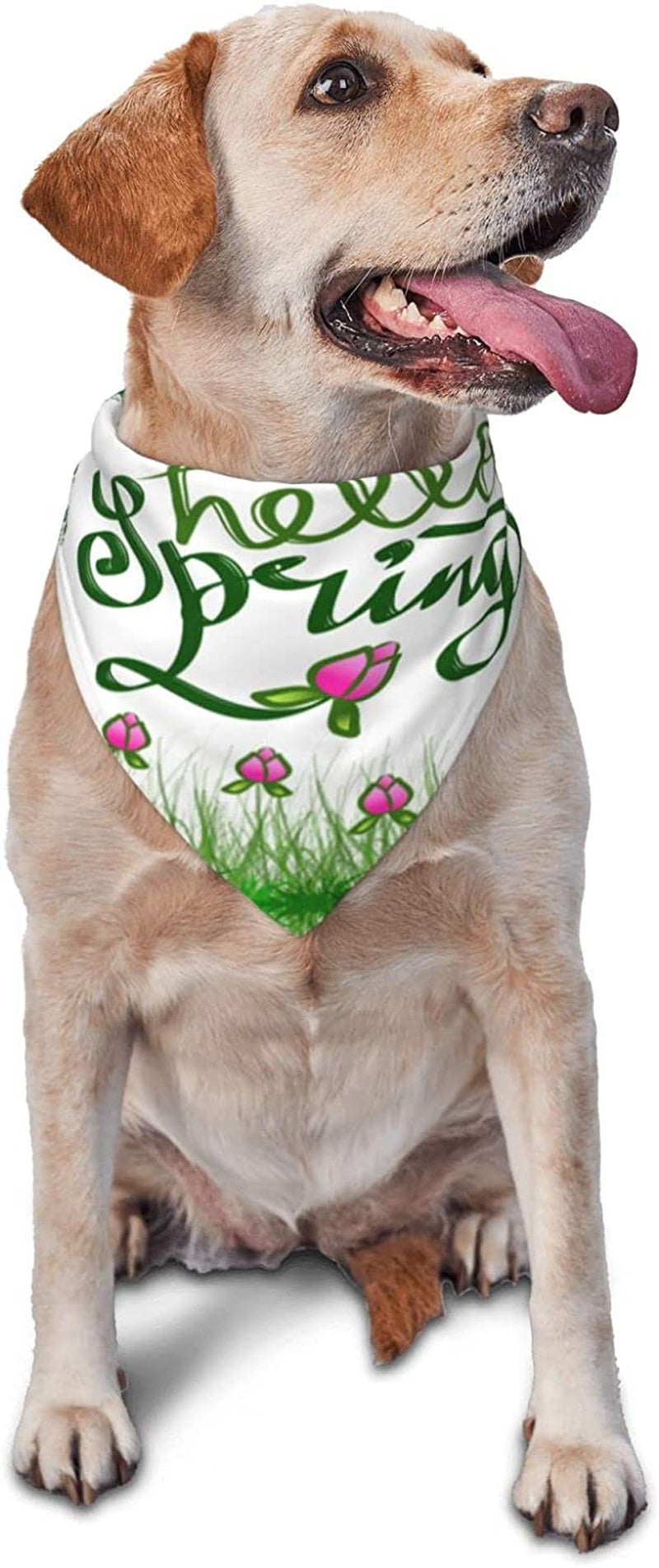 Hand Lettering Hello Spring Pet Dog and Cat Decorative Triangle Scarf,Dog Bandana,Breathable and Stain Resistant. Animals & Pet Supplies > Pet Supplies > Dog Supplies > Dog Apparel ZALTAS   