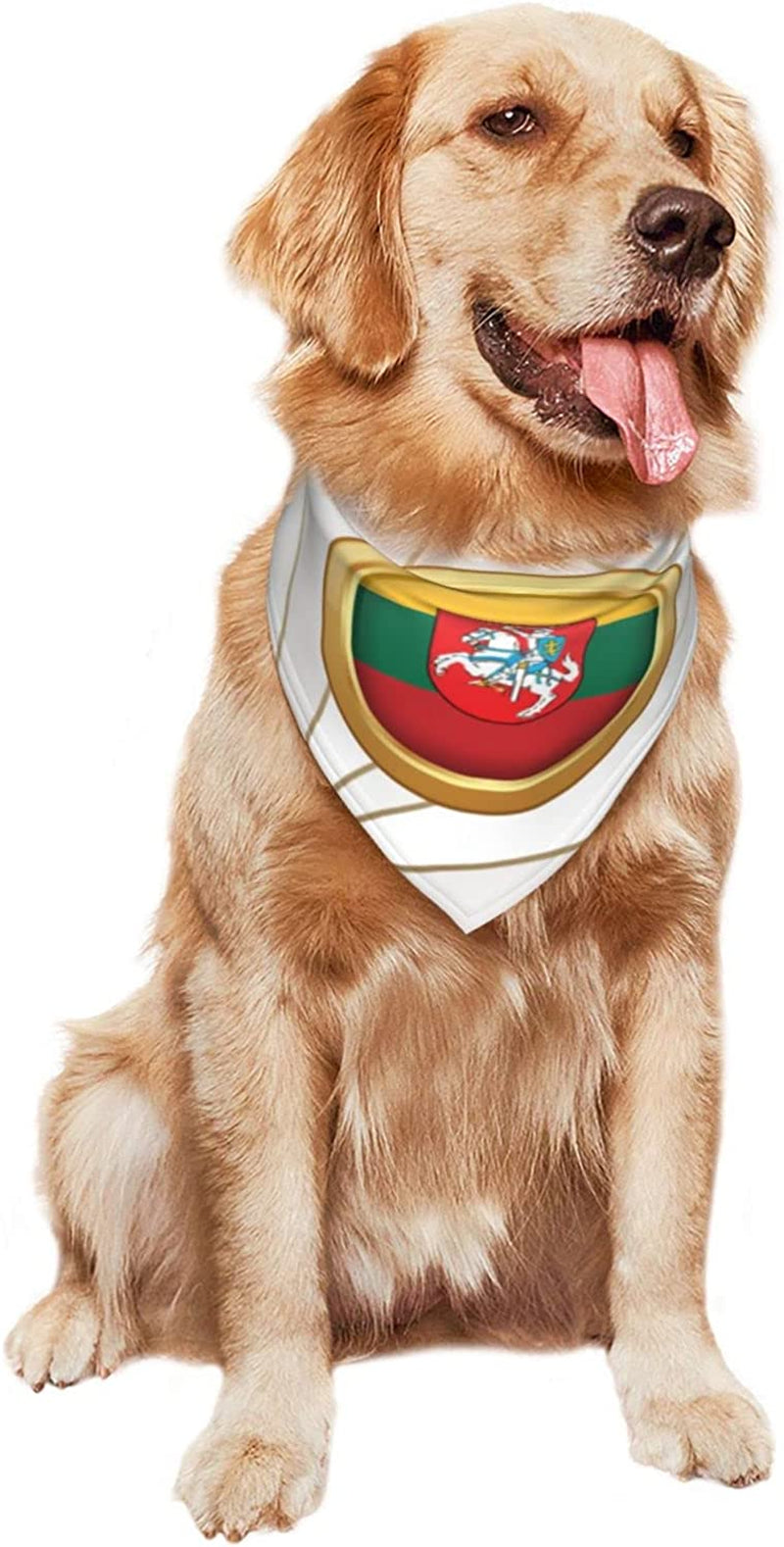 Golden Disc Lithuania Flag Pet Dog and Cat Decorative Triangle Scarf,Dog Bandana,Breathable and Stain Resistant. Animals & Pet Supplies > Pet Supplies > Dog Supplies > Dog Apparel ZALTAS   