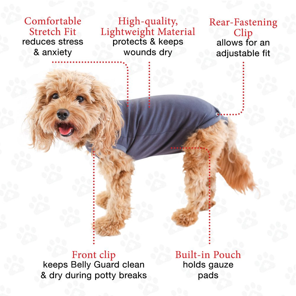 IDOMIK Dog Surgery Recovery Suit, Soft Dog Spay Neuter Recovery Onesie  Bodysuit After Surgery for Male Female Dogs Cats, E-Collar Cone Alternative