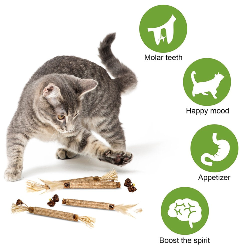 Springcorner 4 Pcs Natural Silvervine Catnip Cat Teeth Cleaning,Cat Chew Toy,Catmint Silvervine Blend Sticks,Catnip Cat Chew Toys for Kittens Teeth Cleaning,Cat Dental Care Animals & Pet Supplies > Pet Supplies > Cat Supplies > Cat Toys SPRINGCORNER   