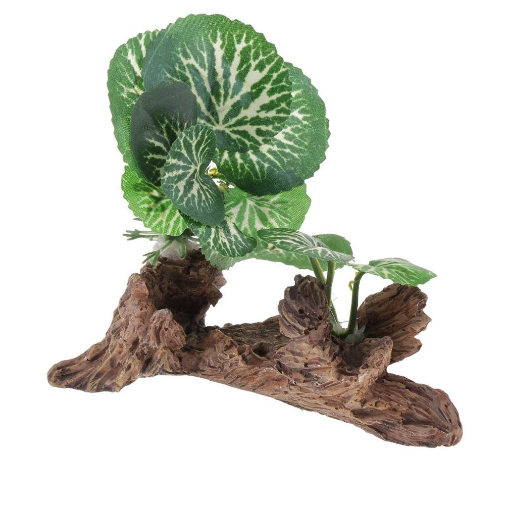 Terrarium Plant Bearded ,Lizards,Geckos, Reptile Habitat Type 2 Animals & Pet Supplies > Pet Supplies > Small Animal Supplies > Small Animal Habitat Accessories Gazechimp Type 3  