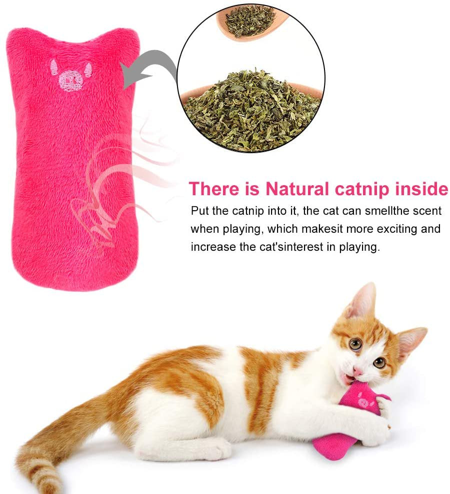 Legendog 5Pcs Cat Chew Toy Bite Resistant Catnip Toys for Cats,Catnip Filled Cartoon Mice Cat Teething Chew Toy Animals & Pet Supplies > Pet Supplies > Cat Supplies > Cat Toys Legendog   