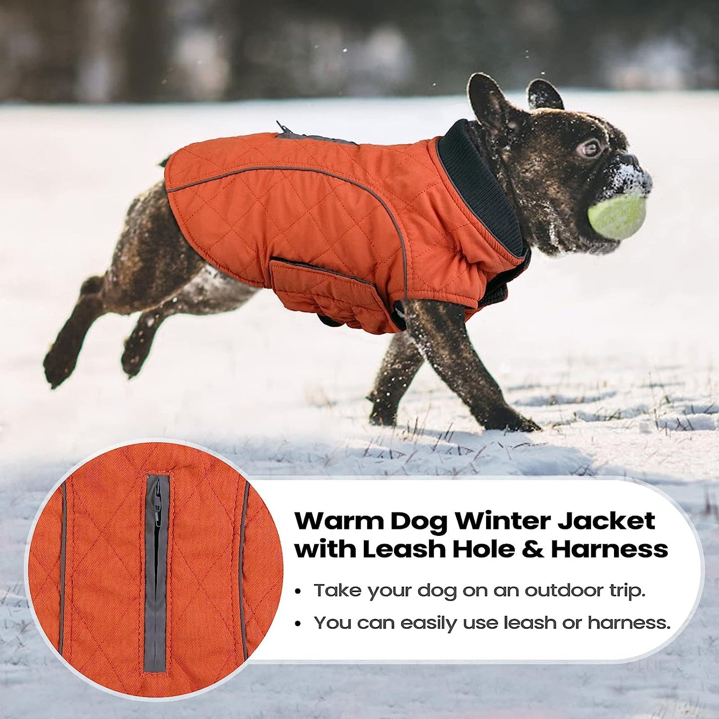 MIGOHI Medium Dog Jacket for Winter, Windproof Cold Weather Coat Cozy Vest for Small Medium Large Dogs, Warm Dog Winter Jackets Comfortable Dog Apparel with Reflective Trims, Orange M Animals & Pet Supplies > Pet Supplies > Dog Supplies > Dog Apparel MIGOHI   