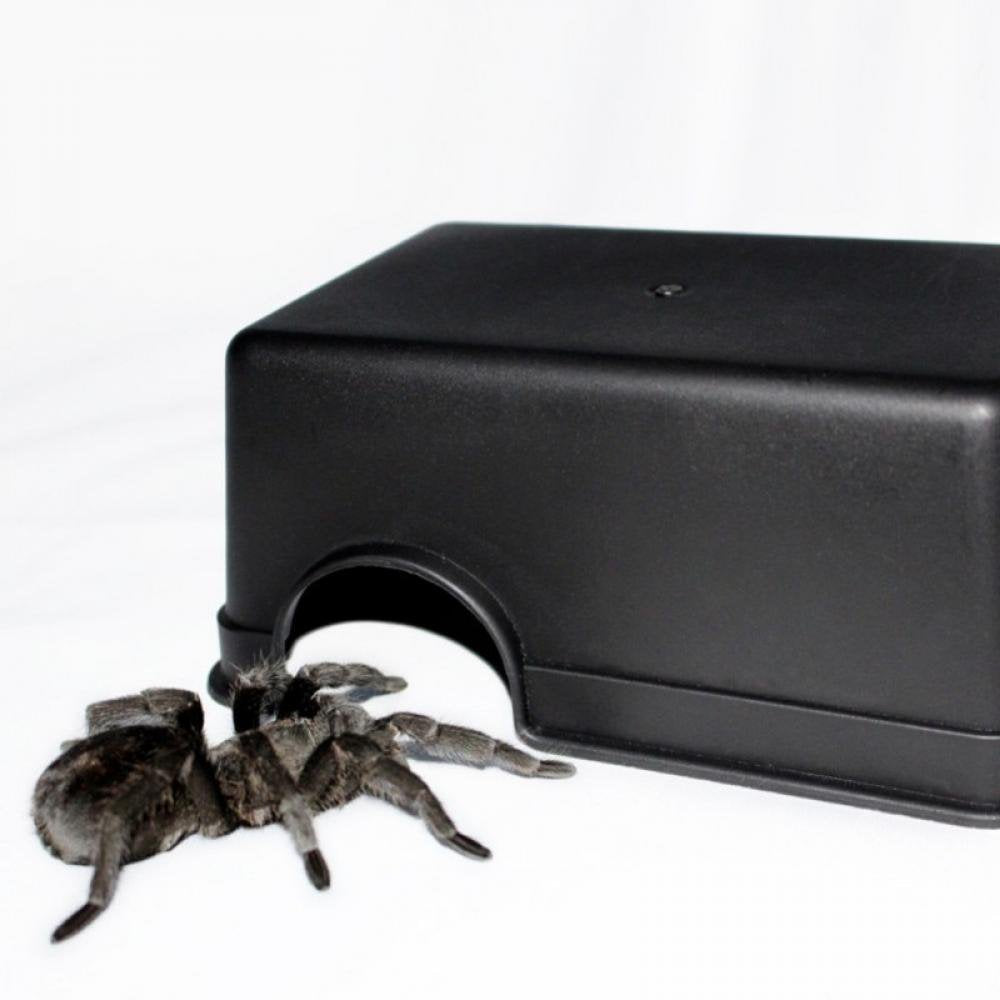 Clearance!Reptiles Hideout Houses, Reptiles Hide Box, Reptile and Amphibians Hide Cave for Lizard Turtle Gecko Chameleon Spider Scorpion Centipede Crickets Animals & Pet Supplies > Pet Supplies > Reptile & Amphibian Supplies > Reptile & Amphibian Food EleaEleanor   