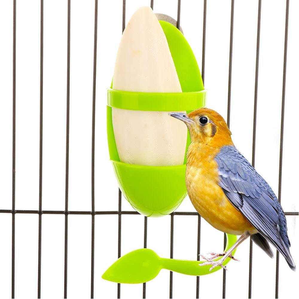 Kreigaven 2 Pcs Bird Cuttlebone Holder Bird Cage Bowl Stand Food Holder with 2 Pcs Cuttlebone for Bird Parrot Budgie Conure (4.7-5.5 Inch) Animals & Pet Supplies > Pet Supplies > Bird Supplies > Bird Cages & Stands Kreigaven   