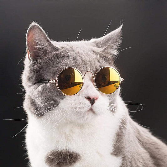 Cat Sunglasses Dog Glasses Classic Retro Circular Sunglasses Cool Pet Costume Accessory for Small Medium Pet Disco Sunglasses 1PC Animals & Pet Supplies > Pet Supplies > Dog Supplies > Dog Apparel sales today clearance   