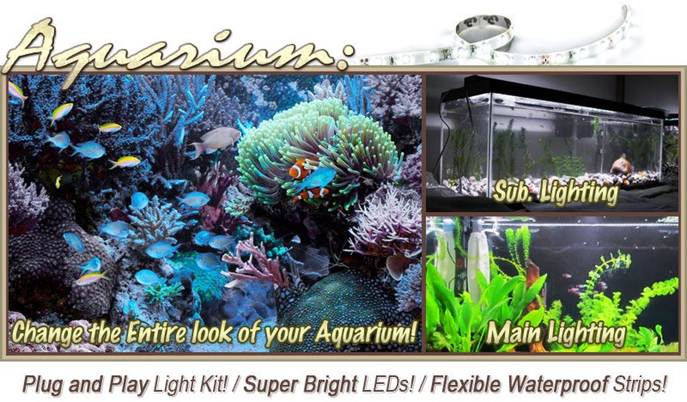 Biltek 16.4' Ft Cool White Aquarium Fish Tank White LED Lighting Strip + Dimmer + Remote + Wall Plug 110V - Main Lighting Fresh Water Salt Water Tanks Water Resistant 3528 SMD Flexible DIY 110V-220V