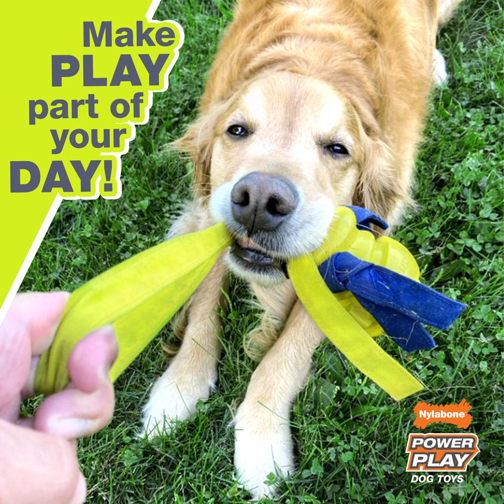 Nylabone Power Play Dog Fetch Toys Fling-A-Bounce Medium - 10 In. Animals & Pet Supplies > Pet Supplies > Dog Supplies > Dog Toys Central Garden and Pet   