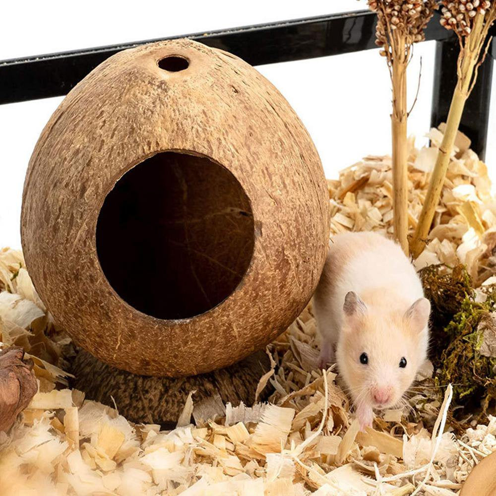 Famure Hamster House with Hole Opening Coconut Hamster Hideout Chew Toy Supplies Small Animal Pet Cage Nest Habitat Decor Accessories Natural Animals & Pet Supplies > Pet Supplies > Small Animal Supplies > Small Animal Habitats & Cages Famure   