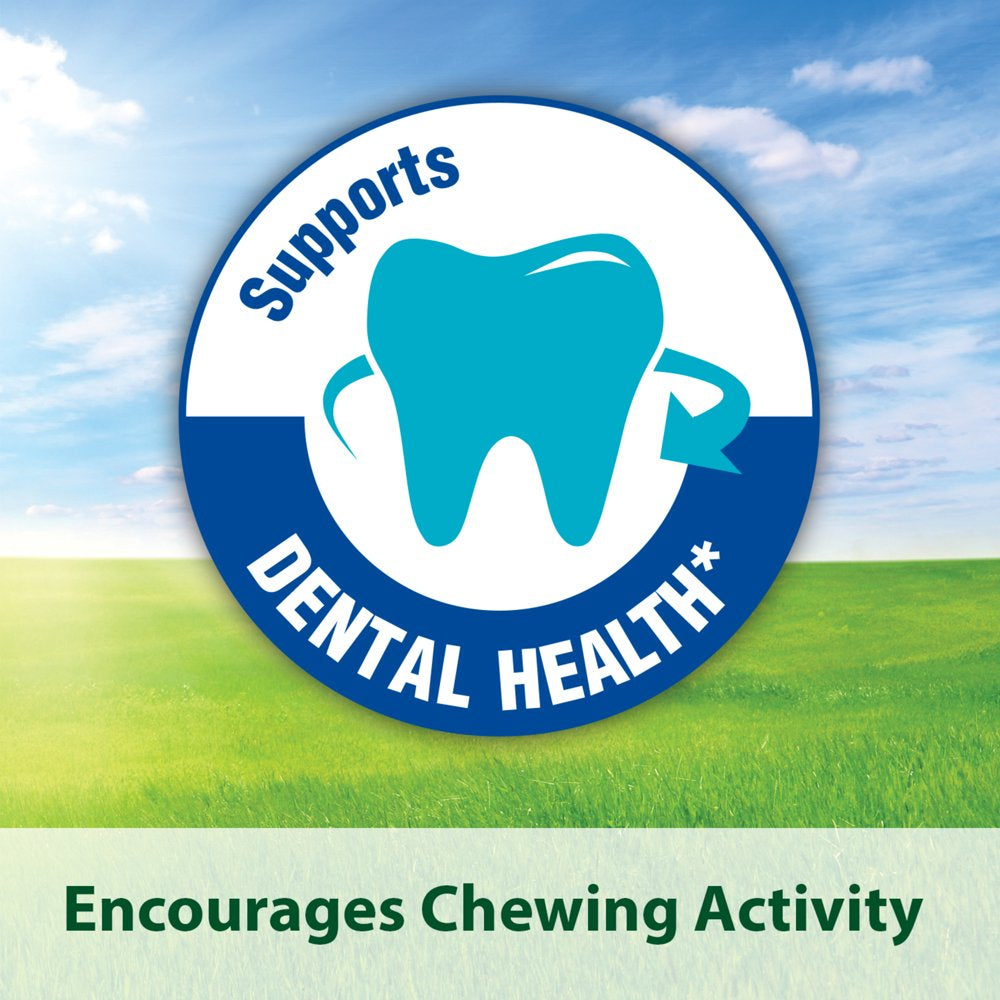 Kaytee Fiesta Mouse and Rat Food 4.5 Lb, Fortified Gourmet Diet Animals & Pet Supplies > Pet Supplies > Small Animal Supplies > Small Animal Food Central Garden and Pet   