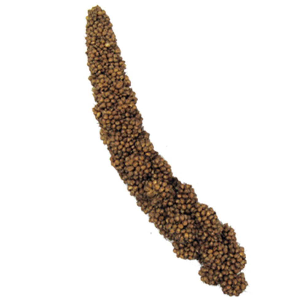 FM Browns Millet Cockatiel Bird Treats, 8 Oz. Bag Animals & Pet Supplies > Pet Supplies > Small Animal Supplies > Small Animal Food F.M. Brown's Sons, Inc.   