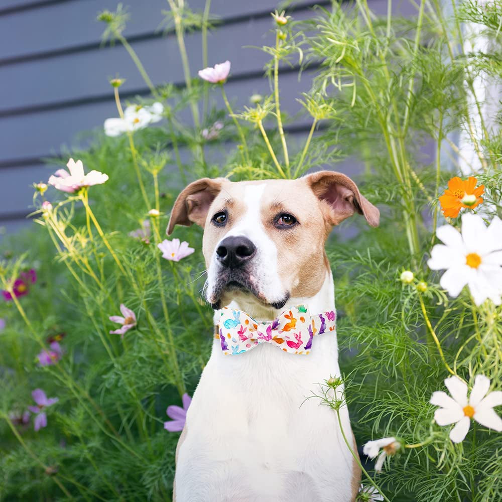 Unique Style Paws Easter Dog Collar, Holiday Bunny Eggs Dog Collar Bowtie, Pet Collar Bow for Small Medium Large Dogs Animals & Pet Supplies > Pet Supplies > Dog Supplies > Dog Apparel Unique style paws   