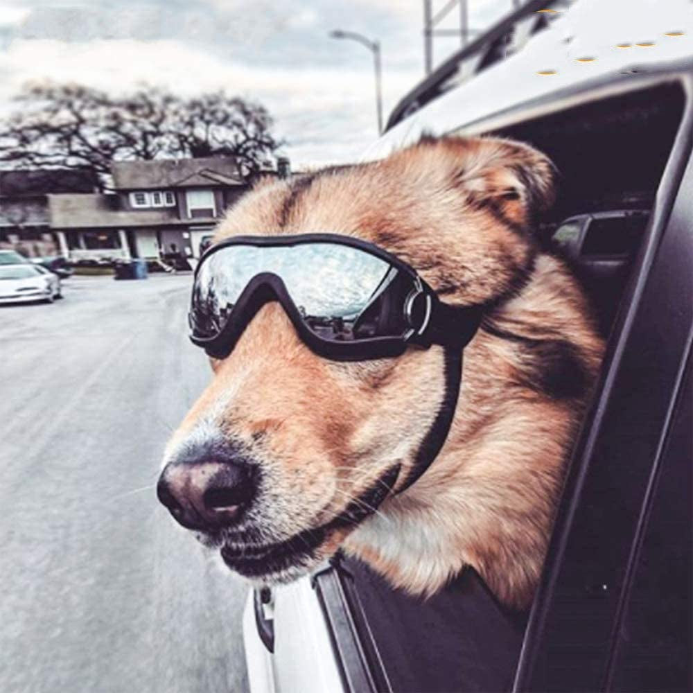 SQINAA Dog Goggles Large, Dog Sunglasses for Medium to Large Dogs, Dogs Glasses Animals & Pet Supplies > Pet Supplies > Dog Supplies > Dog Apparel SQINAA   