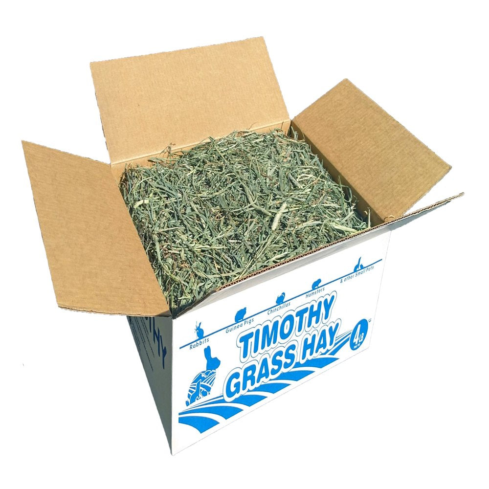 High Desert 2Nd Cutting Timothy Grass Hay for Rabbits, Chinchillas, Guinea Pigs, and Small Animal Pets Animals & Pet Supplies > Pet Supplies > Small Animal Supplies > Small Animal Treats High Desert Small Animal Feed 4 lbs  