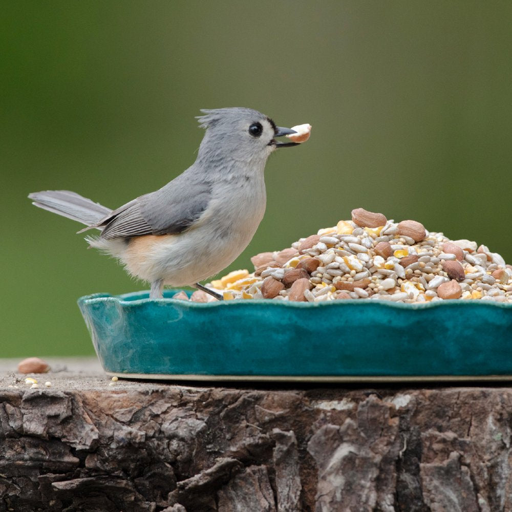 Audubon Park Waste Free Wild Bird Food, 15 Lbs. Animals & Pet Supplies > Pet Supplies > Bird Supplies > Bird Food Global Harvest Foods Ltd.   