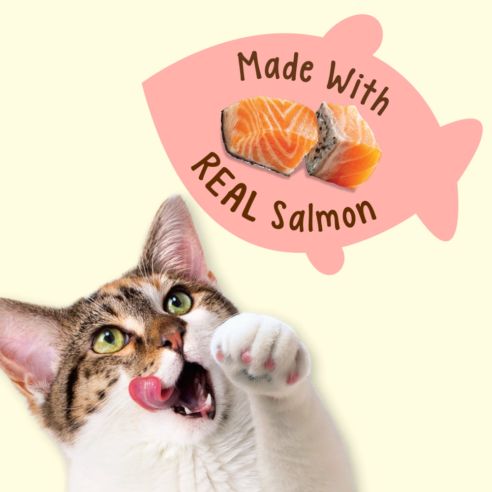 Friskies , Natural Cat Treats, Party Mix Natural Yums with Real Salmon - (6) 6 Oz. Pouches Animals & Pet Supplies > Pet Supplies > Cat Supplies > Cat Treats Nestlé Purina PetCare Company   