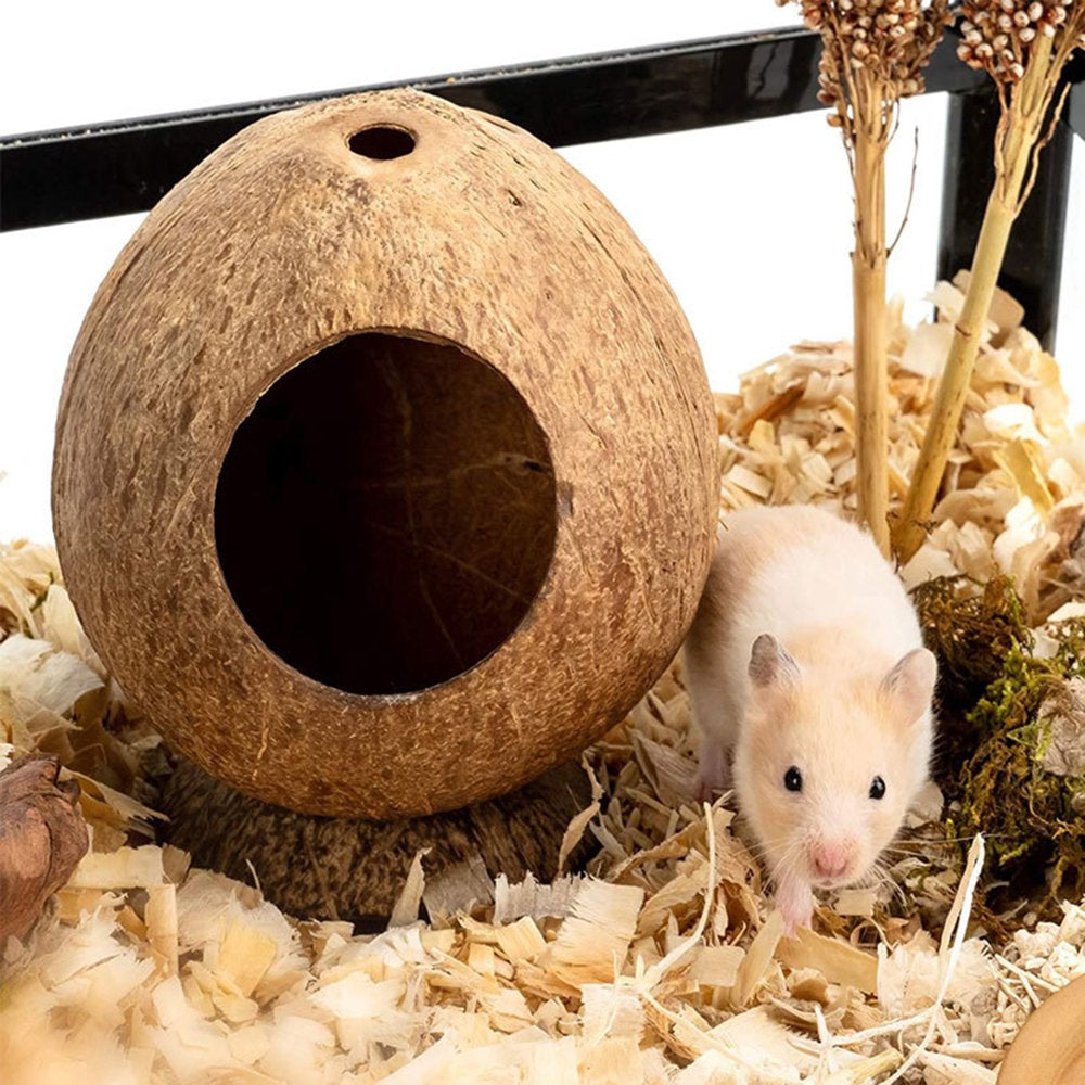 Shenmeida Natural Coconut Hut Hamster House Bed for Gerbils Mice Small Animal Cage Habitat Decor Animals & Pet Supplies > Pet Supplies > Small Animal Supplies > Small Animal Habitats & Cages shenmeida   