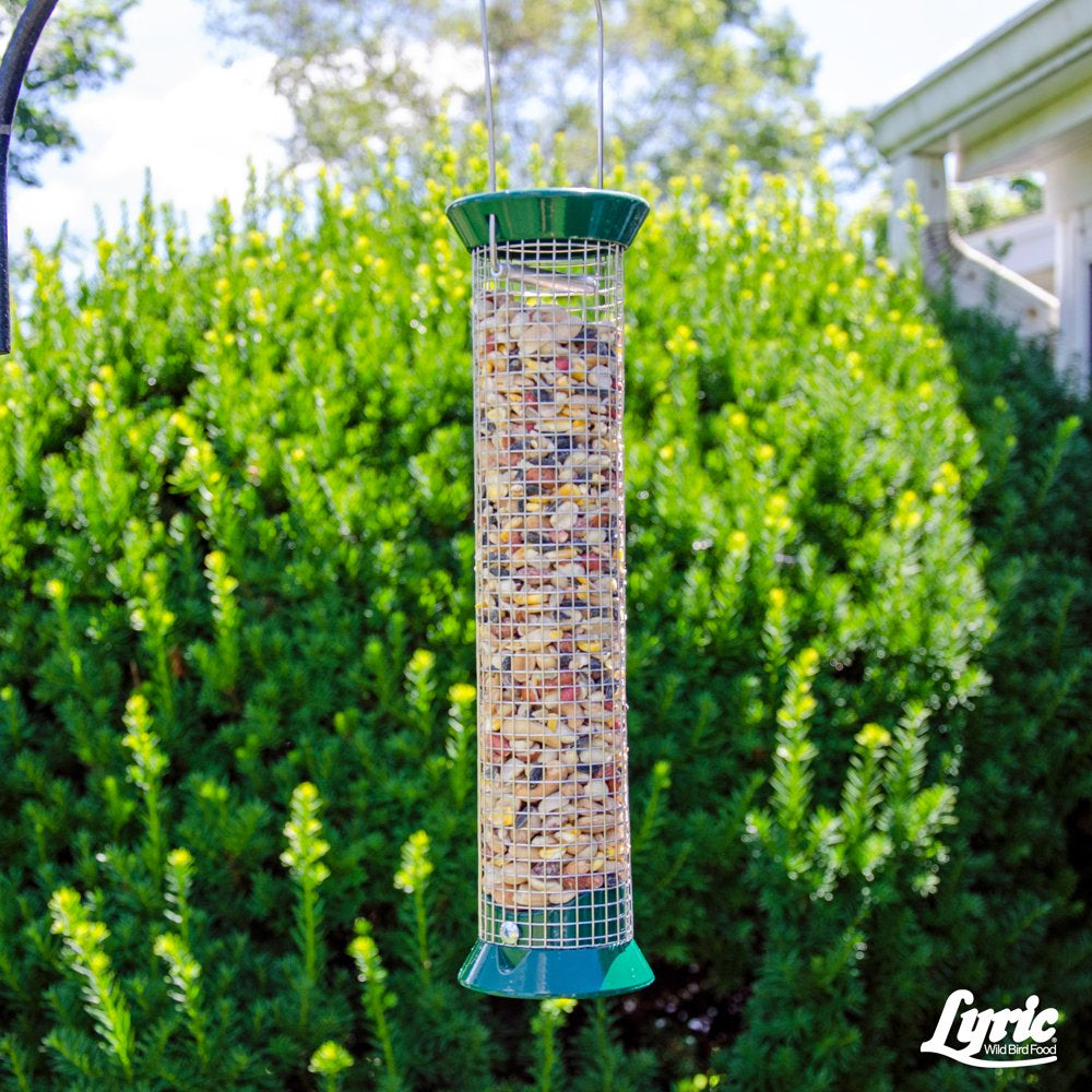 Lyric Fruit and Nut Wild Bird Seed, High Energy Wild Bird Food Mix, 5 Lb. Bag Animals & Pet Supplies > Pet Supplies > Bird Supplies > Bird Food Lebanon Seaboard Corporation   