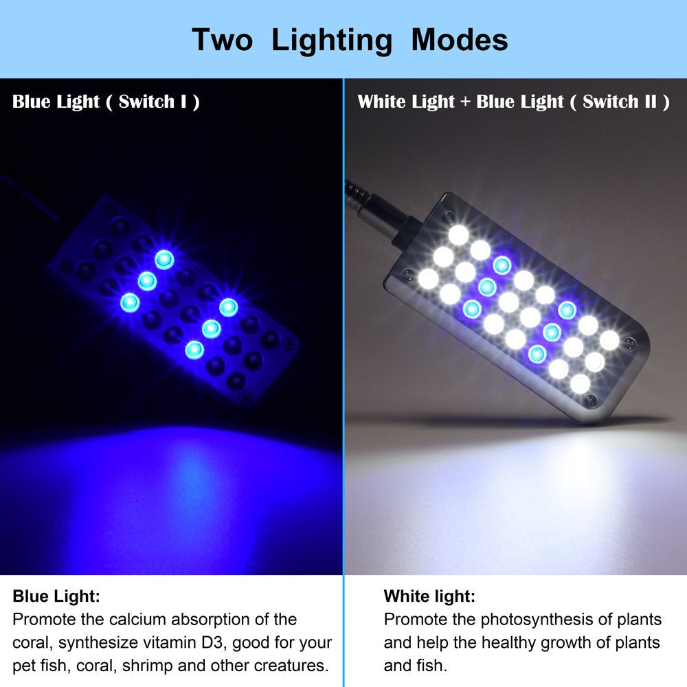 Peroptimist White & Blue Colored LED Light for Aquariums and Terrariums, Flexible Metal Arm to Adjust Lighting, Illuminate Fish Tank with Low Radiation, Energy- Saving Light Animals & Pet Supplies > Pet Supplies > Fish Supplies > Aquarium Lighting Peroptimist   