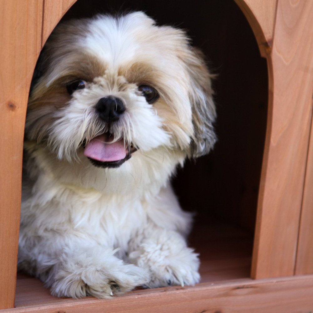 Merry Products Wooden Dog House, Cedar Stain, Small, 21.73"L X 28.54"W X 25.67"H Animals & Pet Supplies > Pet Supplies > Dog Supplies > Dog Houses Merry Products   