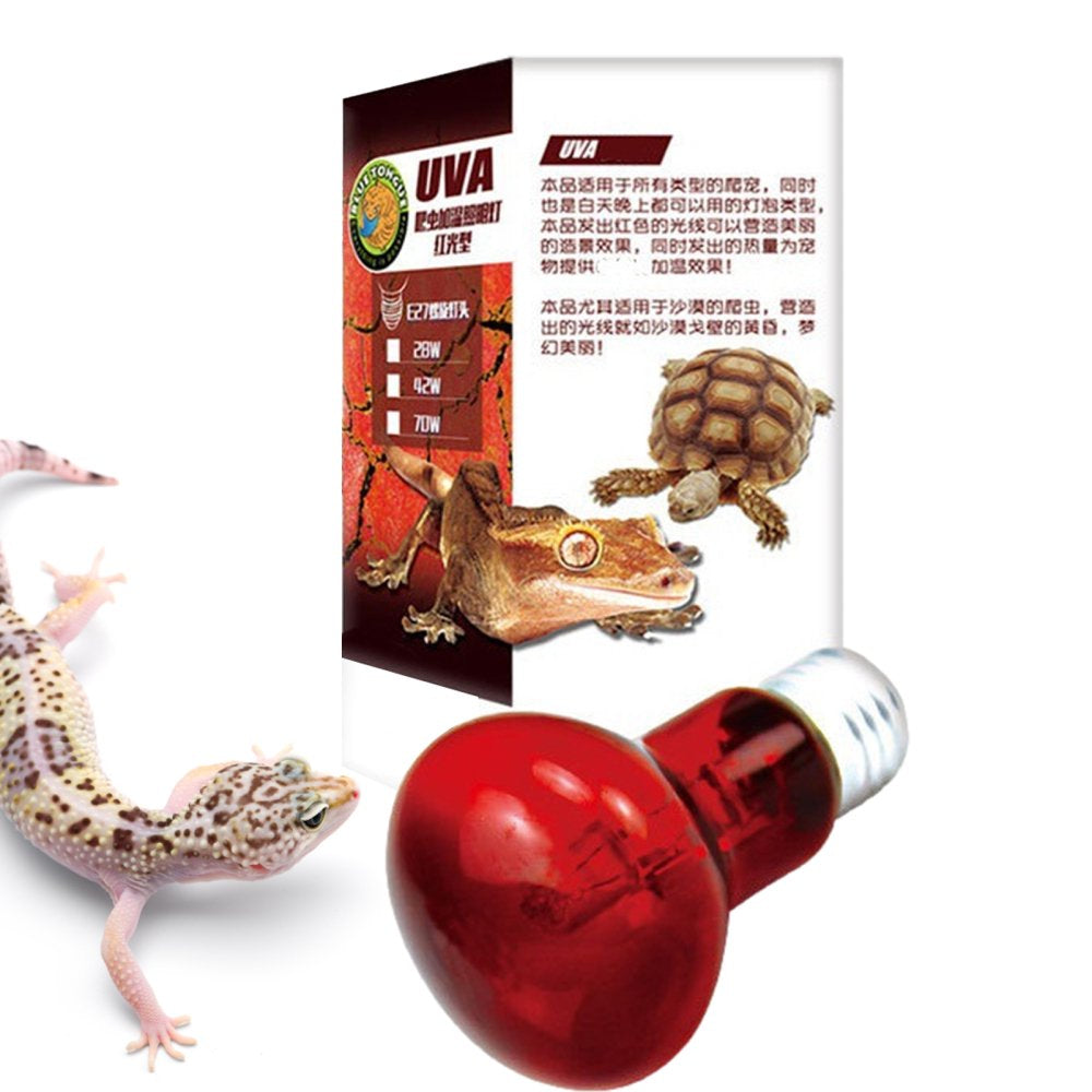 Reptile Habitat Lighting Bulb Natural Nightlight Heating Bulb for Reptiles and Amphibian Use Red Light 28W Animals & Pet Supplies > Pet Supplies > Reptile & Amphibian Supplies > Reptile & Amphibian Food DOVIS Red Light 28W  