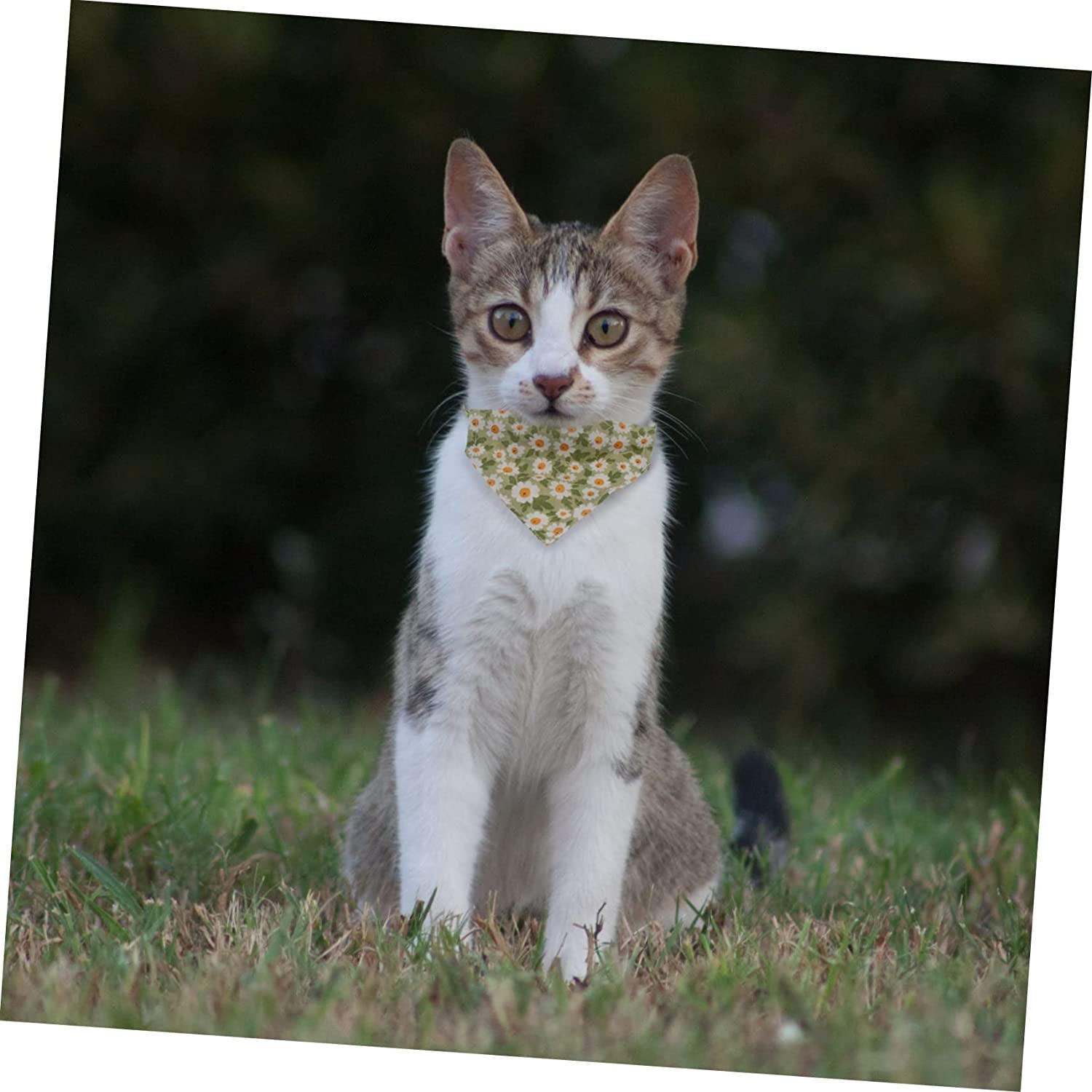 Mipcase 2Pcs Bell Necktie Bells Cat Outfit Bibs Triangle Flower Bowtie Collars Collar Party Tie Spring Bowties Bows Bandana Summer Festival Dog Daisy Pet for Neckties with Neckwear Photo Animals & Pet Supplies > Pet Supplies > Dog Supplies > Dog Apparel Mipcase   