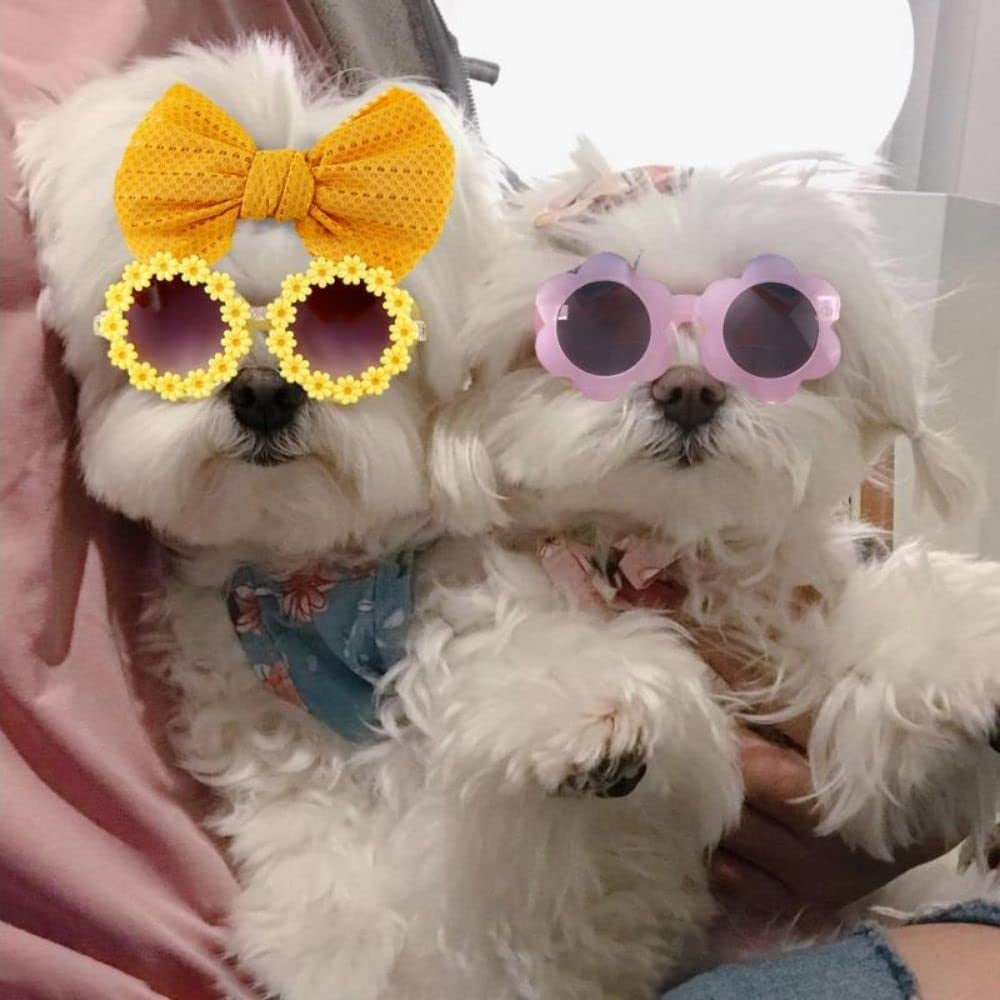 Cat Dog Sunglasses Fashion Flower Sunglasses with Bow Headband Summer Beach Dog Sunglasses Cute Dog Cat Cosplay Party Costume Photo Props(Purple) Animals & Pet Supplies > Pet Supplies > Dog Supplies > Dog Apparel generic   