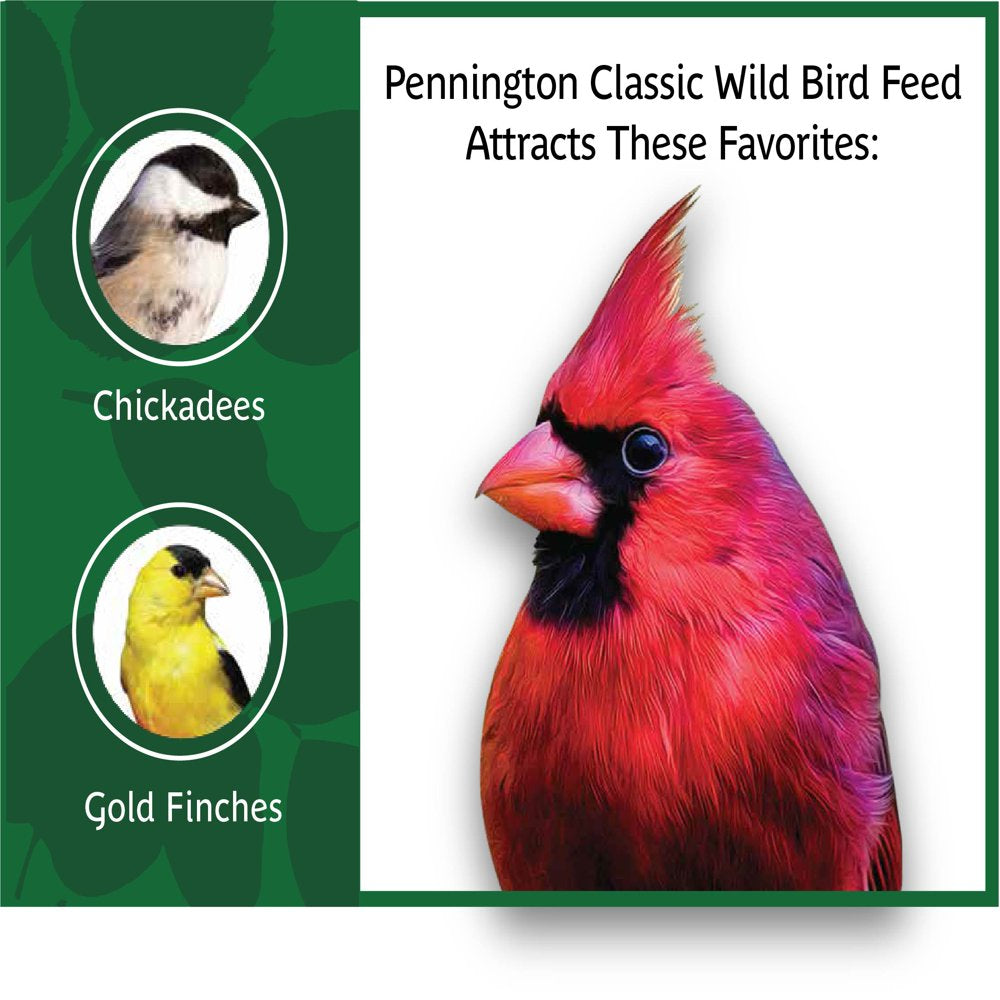 Pennington Classic Wild Bird Feed and Seed, 20 Lb. Bag Animals & Pet Supplies > Pet Supplies > Bird Supplies > Bird Food CENTRAL GARDEN & PET COMPANY   