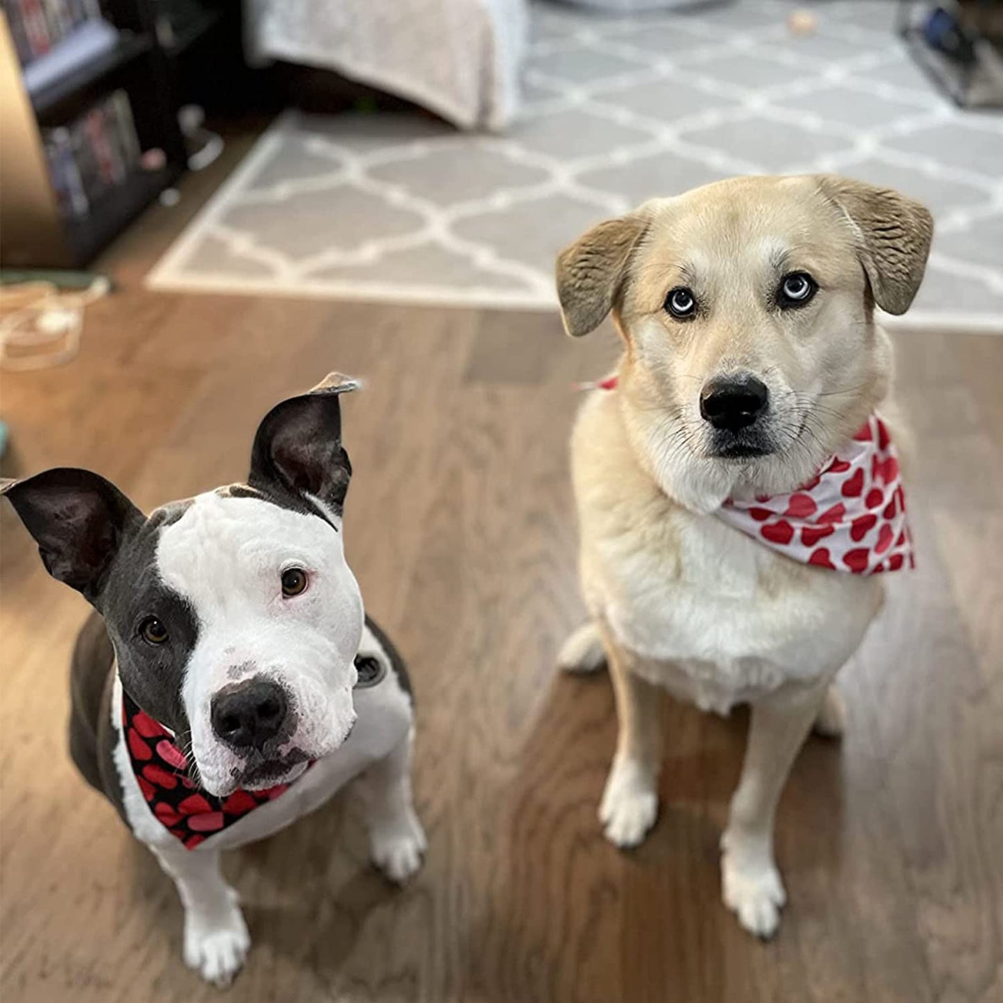 PTDECOR Valentine'S Day Dog Bandana Reversible Triangle Bibs Scarf for Small Medium Large Dogs (Black&Red) Animals & Pet Supplies > Pet Supplies > Dog Supplies > Dog Apparel PTDECOR   