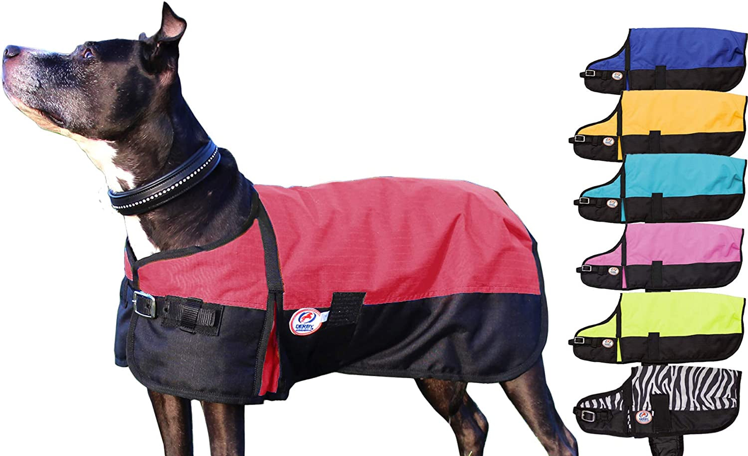 Derby Originals Horse Tough 600D Ripstop Waterproof Winter Dog Coat 150G Medium Weight Animals & Pet Supplies > Pet Supplies > Dog Supplies > Dog Apparel Derby Originals Red 28.5 in 