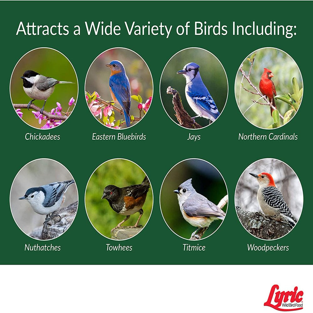 Lyric 2647464 Peanut Pieces Wild Bird Food, 5 Lb Animals & Pet Supplies > Pet Supplies > Bird Supplies > Bird Treats Lebanon Seaboard Corporation   