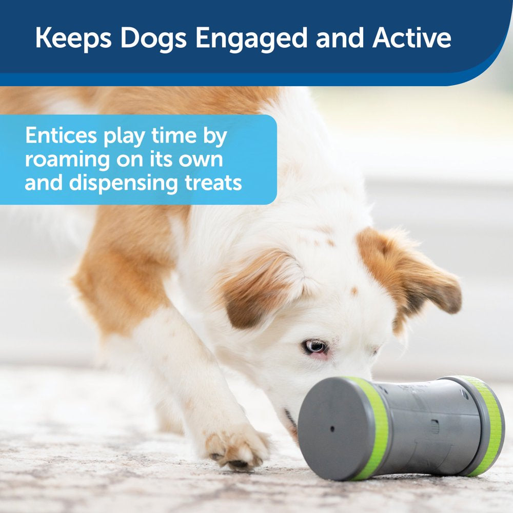 Petsafe Kibble Chase Interactive Dog Toy, Slow Feeder, Electronic Treat Dispenser Animals & Pet Supplies > Pet Supplies > Dog Supplies > Dog Toys Radio Systems Corporation   