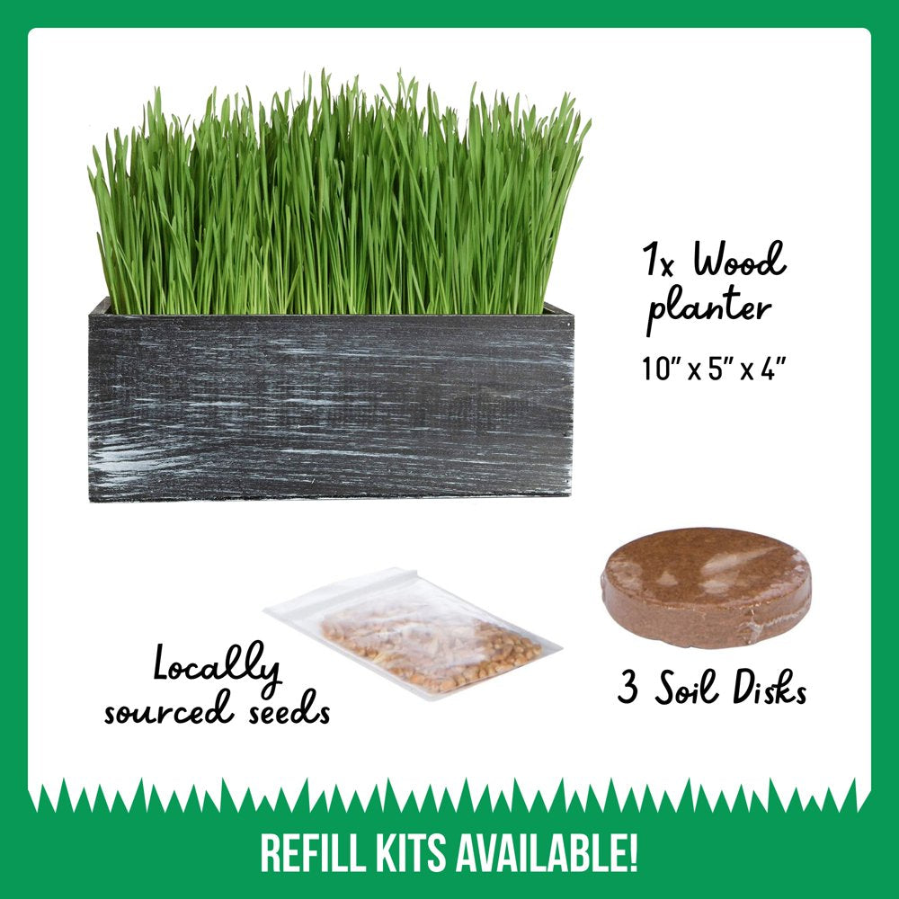 The Cat Ladies Organic Cat Grass Growing Kit with Black Wooden Planter Animals & Pet Supplies > Pet Supplies > Cat Supplies > Cat Treats The Cat Ladies   