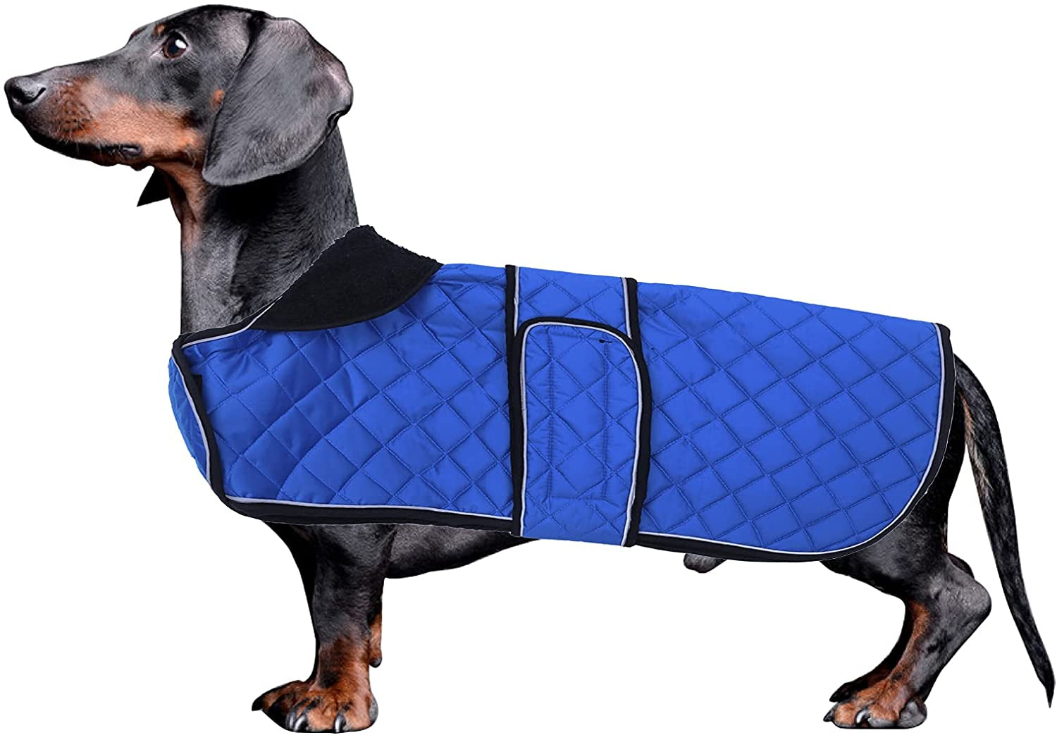 Morezi Dachshund Coats, Dachshund Coat, Coat for Dachshund, Dog Winter Coat with Padded Fleece Lining, Outdoor Dog Apparel with Adjustable Bands - Navy - L Animals & Pet Supplies > Pet Supplies > Dog Supplies > Dog Apparel Morezi Navy Large(Back: 17"-19"in) 