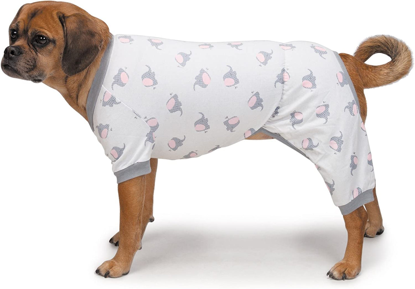 Zack & Zoey Pet Pajamas, Large, Light Gray Animals & Pet Supplies > Pet Supplies > Dog Supplies > Dog Apparel PetEdge Dealer Services   