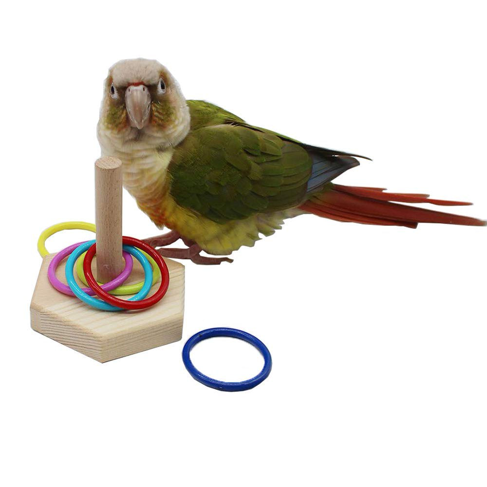 QBLEEV Bird Toys, Bird Trick Tabletop Toys, Training Basketball Stacking Color Ring Toys Sets, Parrot Chew Ball Foraing Toys, Education Play Gym Playground Activity Cage Foot Toys Animals & Pet Supplies > Pet Supplies > Bird Supplies > Bird Gyms & Playstands QBLEEV   