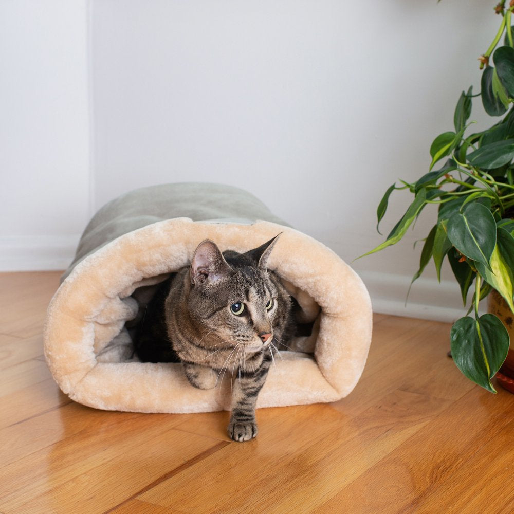 Armarkat Cat Bed, Small, Pale Silver and Beige, C33HQH/MH-S Animals & Pet Supplies > Pet Supplies > Cat Supplies > Cat Beds Aeromark Intl Inc 20"(L) x 14"(W) x 10"(H) Sage Green 