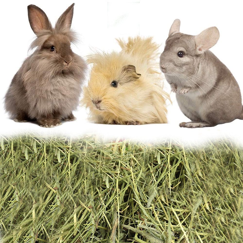 2Nd Cut All Natural Timothy Hay for Pet Guinea Pigs, Rabbits and Other Small Animals, 1.1 Pound Animals & Pet Supplies > Pet Supplies > Small Animal Supplies > Small Animal Food Ugerlov   