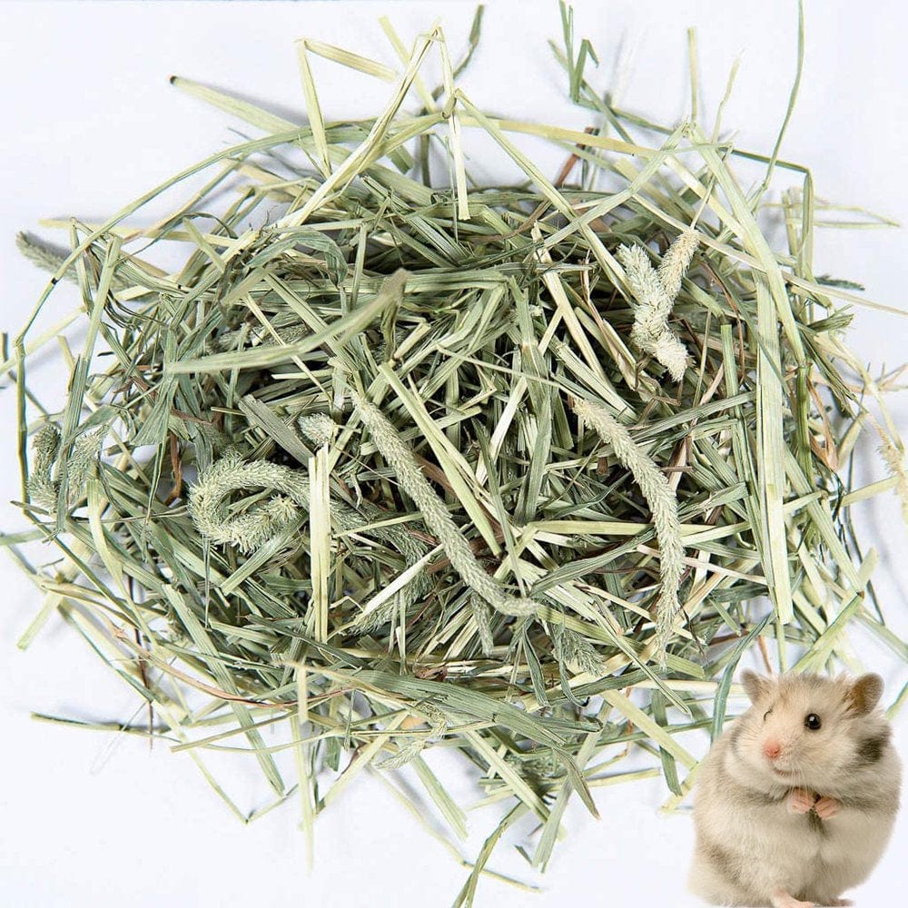 2Nd Cut All Natural Timothy Hay for Pet Guinea Pigs, Rabbits and Other Small Animals, 1.1 Pound Animals & Pet Supplies > Pet Supplies > Small Animal Supplies > Small Animal Food Ugerlov   