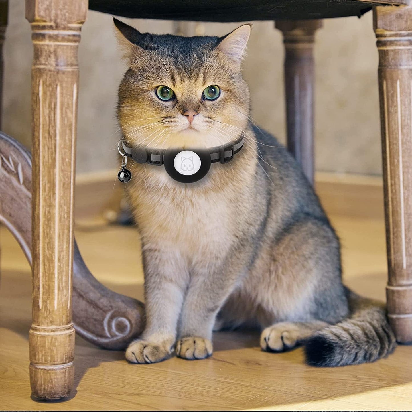 2Pack Airtag Cat Collars, Reflective Air Tag Cat Collar with Breakaway Safety Buckle and Bell, Adjustable Cat Collar with Airtag Holder Compatible with Apple Airtag for Small Pets (Black) Electronics > GPS Accessories > GPS Cases SimpleThings   