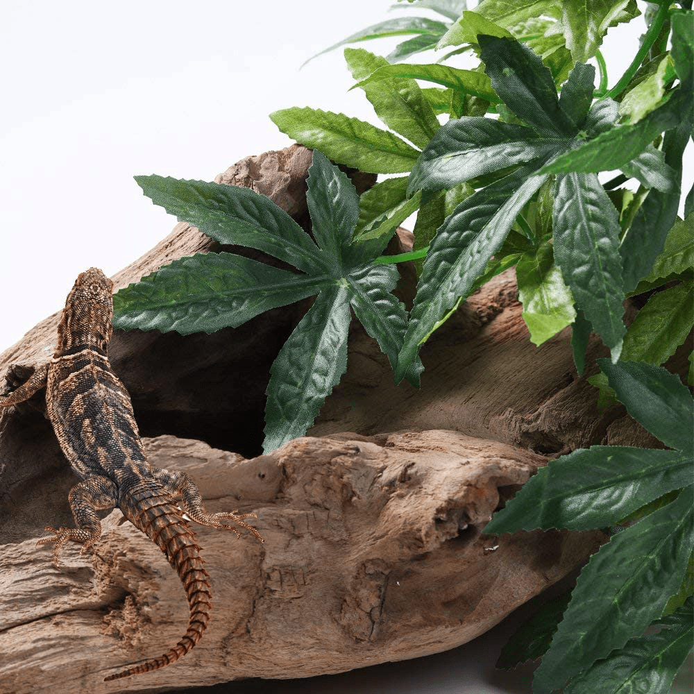 2Pack Reptile Plants Hanging Silk Terrarium Plants with Suction Cup for Bearded Dragons,Lizards,Geckos,Snake,Hermit Crab Tank Habitat Decorations,Small Size,12 Inches Green Animals & Pet Supplies > Pet Supplies > Reptile & Amphibian Supplies > Reptile & Amphibian Habitats SLSON   