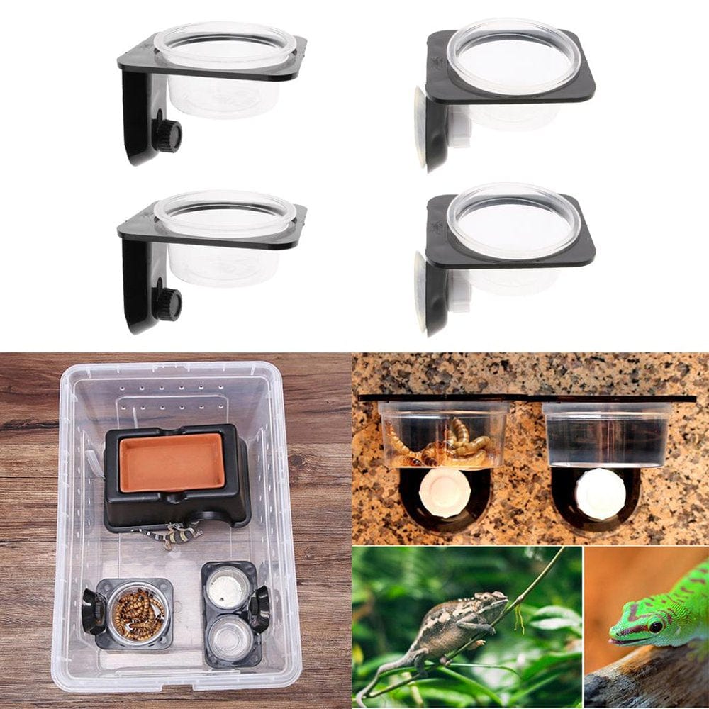 2Pcs Feeder for Water for Gecko Amphibian Reptile Turtle- Animals & Pet Supplies > Pet Supplies > Reptile & Amphibian Supplies > Reptile & Amphibian Food Menolana   