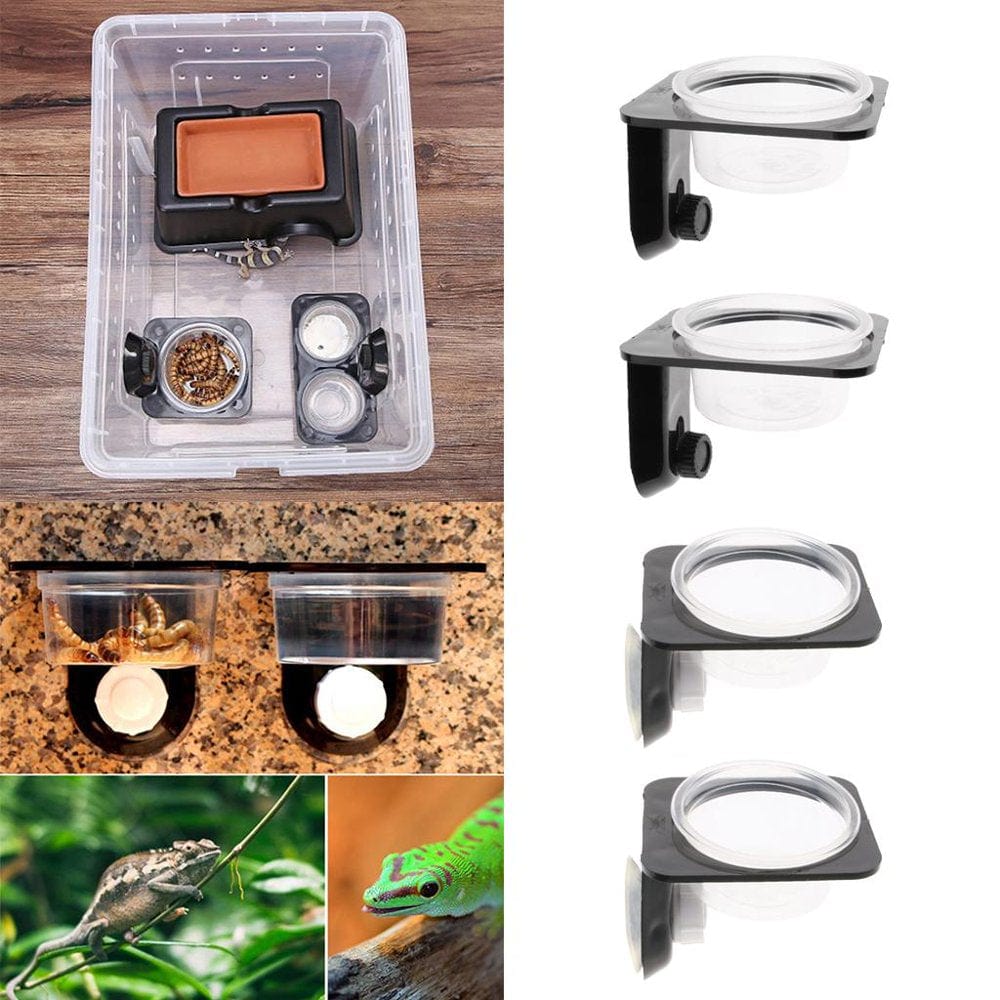 2Pcs Feeder for Water for Gecko Amphibian Reptile Turtle- Animals & Pet Supplies > Pet Supplies > Reptile & Amphibian Supplies > Reptile & Amphibian Food Menolana   